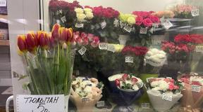 Фотофакт. Тюльпаны в Минске по впечатляющим ценам