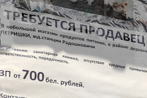 Рыжиченко: «Люди ищут различные причины, чтобы, условно, не сидеть 15 суток, но и не идти работать за 800 рублей»