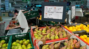 «Я с бомжами за последнюю крысу дерусь!» Беларусы Польши смеются над вбросом пропаганды от БТ