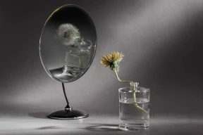 Почему в Витебской области «катастрофа может быть завтра»